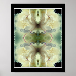 White Peony Flower in Bloom Close Up Abstrakt Poster