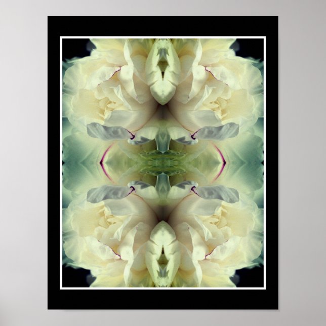 White Peony Flower in Bloom Close Up Abstrakt Poster (Framsidan)