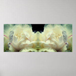 White Peony Flower in Bloom Spegel Abstrakt Poster