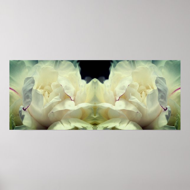 White Peony Flower in Bloom Spegel Abstrakt Poster (Framsidan)