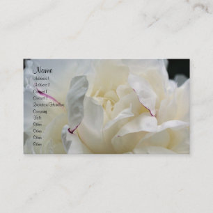 White Peony Flower Petals Nature Visitkort