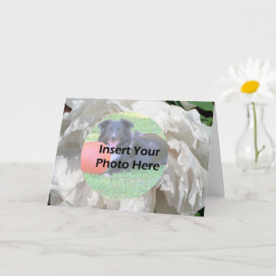 White Peony Flower Petals Ram Photo Kort