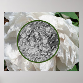 White Peony Flower Ram Skapar ditt eget foto Poster