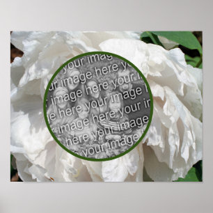 White Peony Flower Ram Skapar ditt eget foto Poster