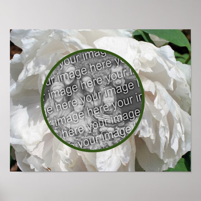 White Peony Flower Ram Skapar ditt eget foto Poster (Framsidan)