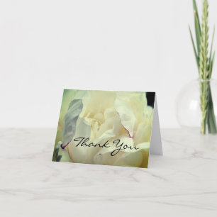 White Peony Flower - tackkort
