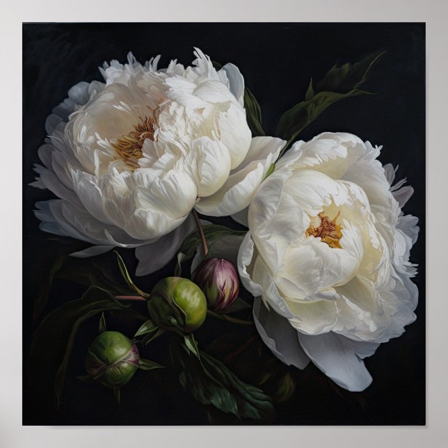 White Peony Flowers Art Print Poster (Framsidan)