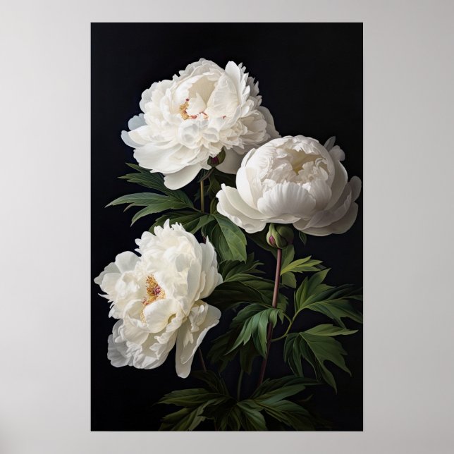 White Peony Flowers Art Print Poster (Framsidan)