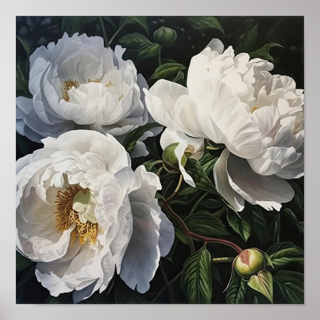 White Peony Flowers Art Print Poster (Framsidan)