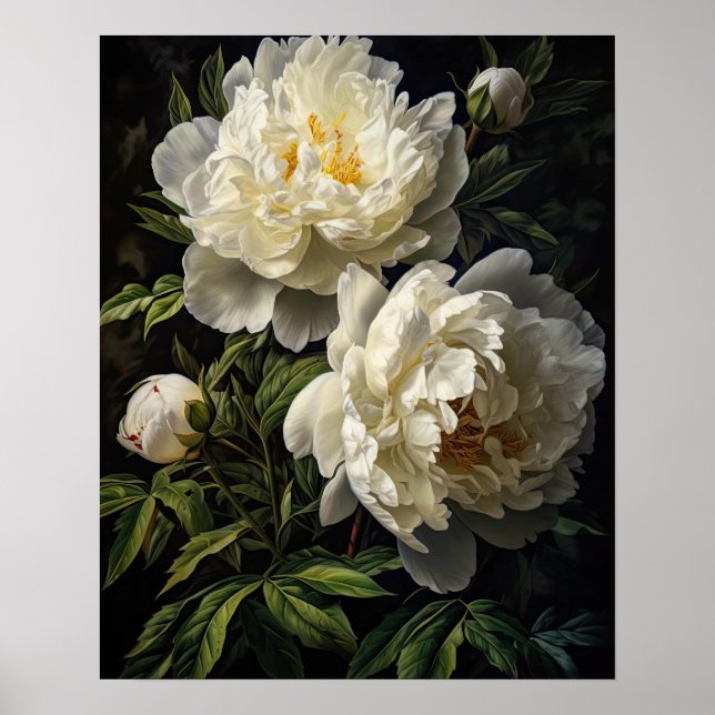 White Peony Flowers Art Print Poster (Framsidan)