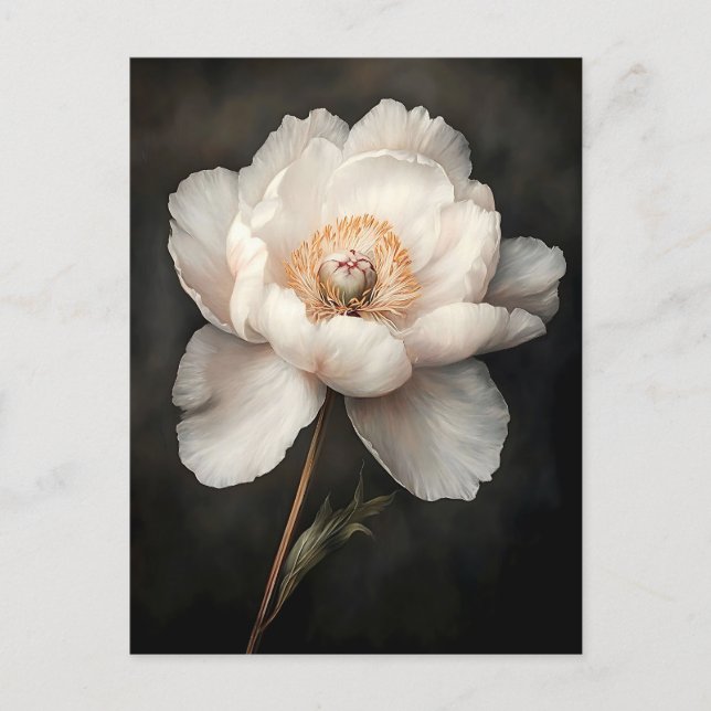 White Peony i Bloom Botanical Painting Vykort (Framsida)