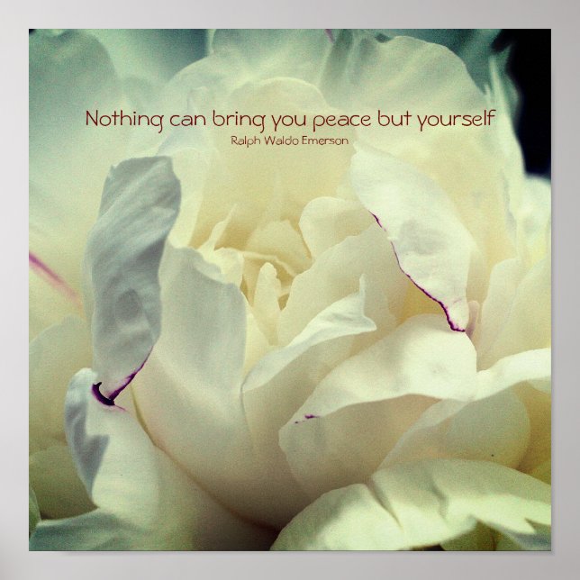 White Peony Inner Peace inspirational Poster (Framsidan)