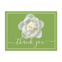 White Peony Lime Green Background Tack
