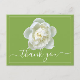 White Peony Lime Green Background Tack Vykort
