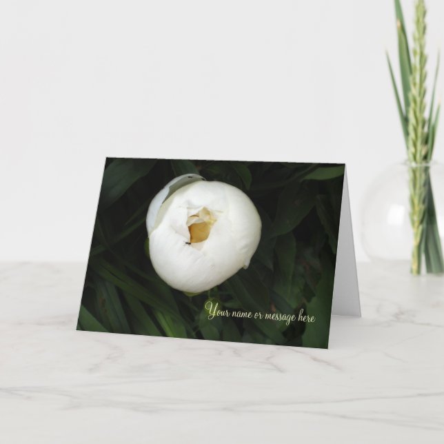 White Peony Notecards Kort (Framsida)