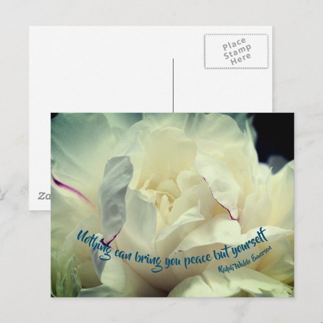 White Peony Peace inspirational Quote  Vykort (Fram/baksida)