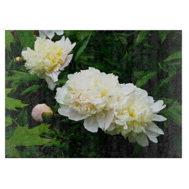 White Peony Trio (Framsidan)