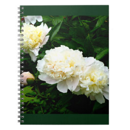 White Peony Trio Anteckningsbok