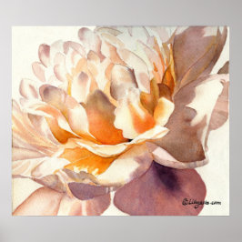 White Peony Watercolor Poster Skriv ut