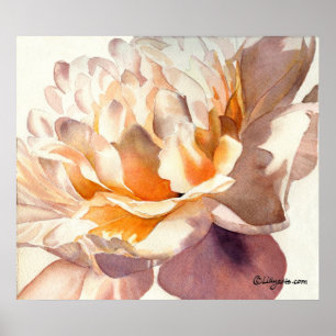 White Peony Watercolor Poster Skriv ut