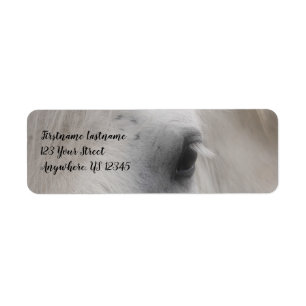 White Percheron Horse Öga Adress Returadress Etikett