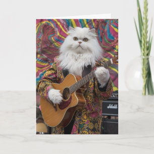 White Persian Rocker Kort