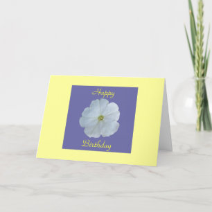 White Petunia Kort