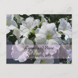 White Petunia Spara Datum Meddelande Vykort