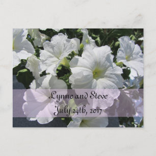 White Petunia Spara Datum Meddelande Vykort