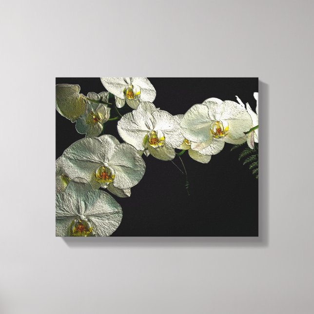 White Phalaenopsis Orchid & Fern - Digital Art Canvastryck (Framsida)