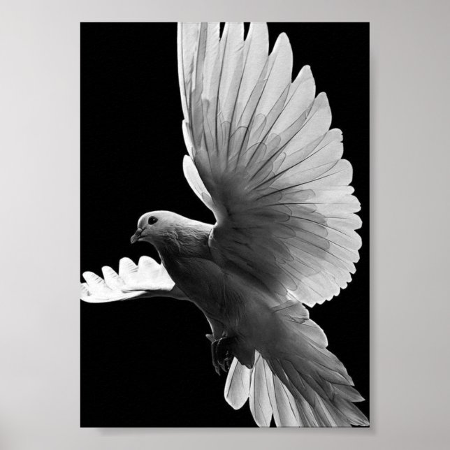 White Pigeon Poster (Framsidan)