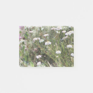 White Pincushion Wildblommor Digital Watercolor Po Post-it Block