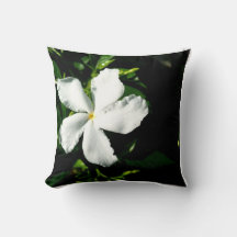 White Pinhjul Jasmine i Sunlight