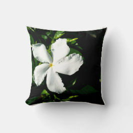 White Pinhjul Jasmine i Sunlight Kudde