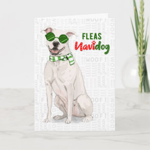 White Pit Bull Dog Funny Fleas Navidog Jul Helgkort
