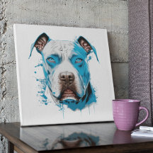 White Pitbull med Blue Ögon