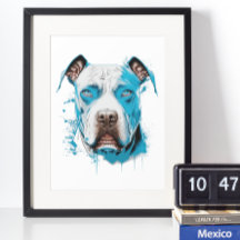 White Pitbull med Blue Ögon