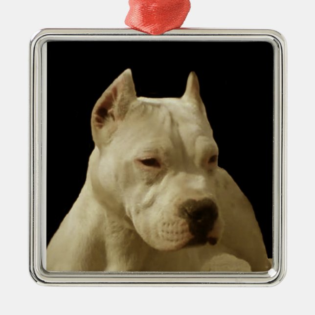 White Pitbull Terrier Julgransprydnad Metall (Framsidan)