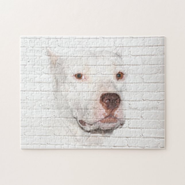 White Pitbull Terrier Pussel (Horisontell)