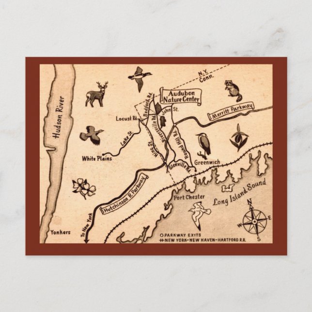 White Plains NY Vintage vykort  (Framsida)