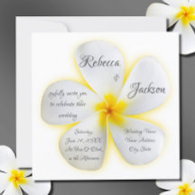 White Plumeria Flower med Gult, Bröllop,