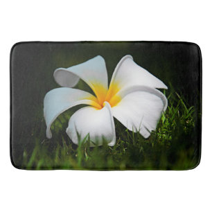 White Plumeria Frangipani Hawaii Flowers Badrumsmatta