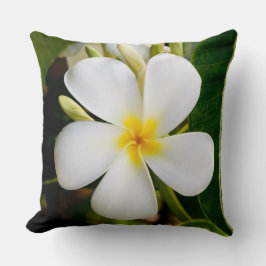 White Plumeria, Hawaii Kudde