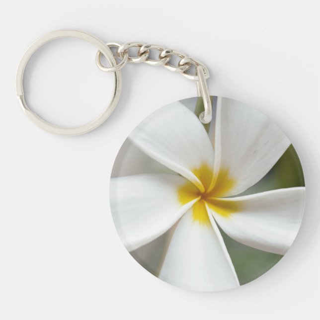 White Plumeria - Macro Porträtt (Framsidan)