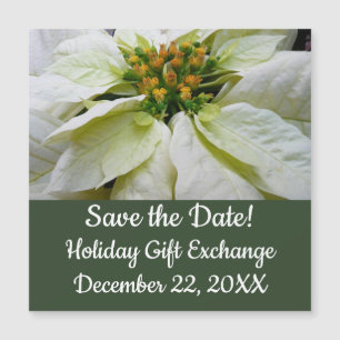 White Poinsettia Elegant Helgdag Blommigt jul