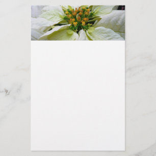 White Poinsettia Elegant Helgdag Blommigt jul Brevpapper
