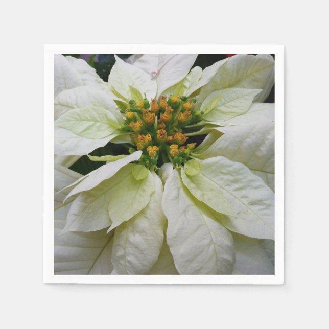 White Poinsettia Elegant Helgdag Blommigt jul Pappersservett (Framsidan)