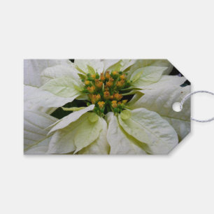 White Poinsettia Elegant Helgdag Blommigt jul Presentetikett