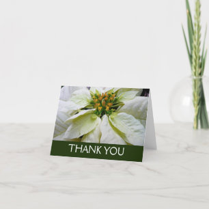 White Poinsettia Elegant Helgdag Blommigt jul Tack Kort