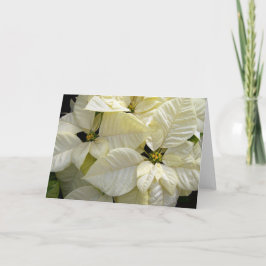 White Poinsettia Helgkort